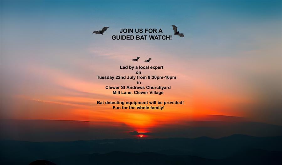 Guided Bat Watch Flyer